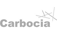 logo-carbocia